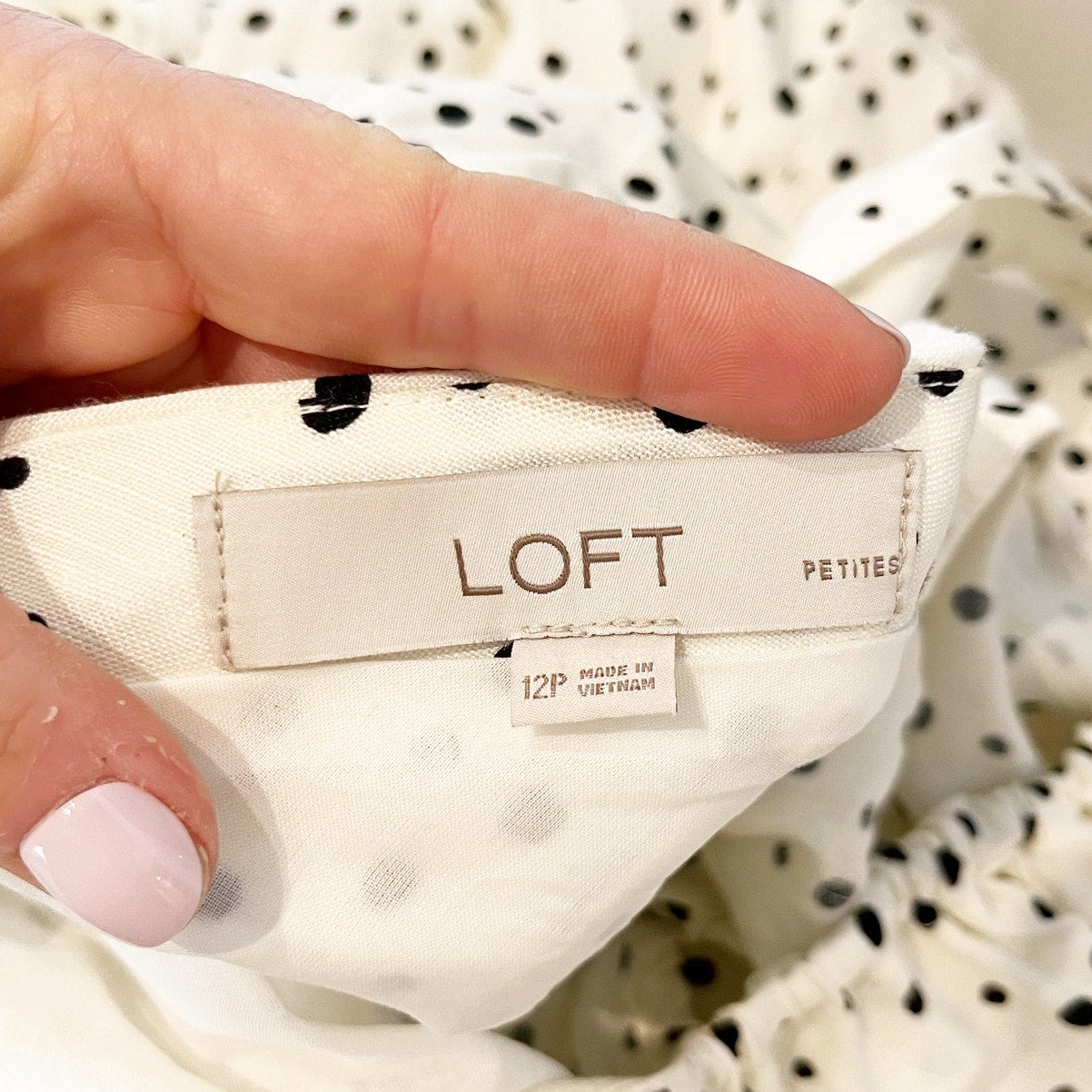 LOFT Petite Polka Dotted Short Flutter Sleeve Mini Dress White 12 Petite