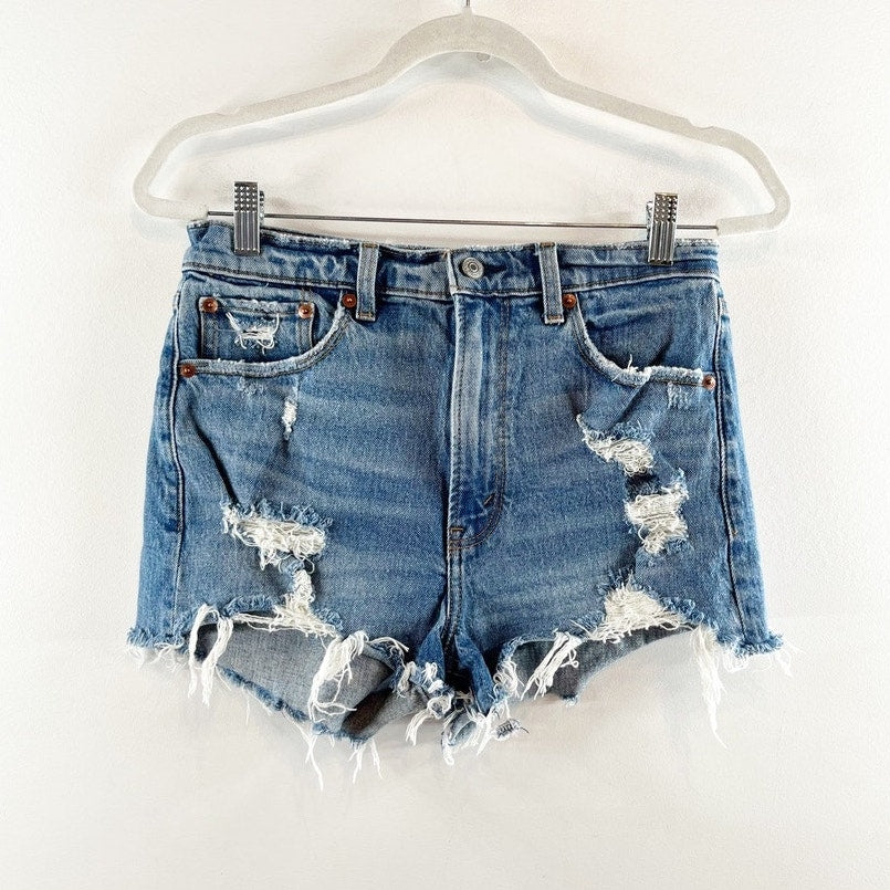 Abercrombie & Fitch High-Rise Distressed Medium Wash Mom Shorts Blue 27 / 4