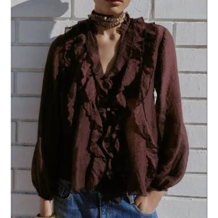 ZARA Long Sleeve Sheer Button Up Ruffle Blouse Chocolate Brown Small