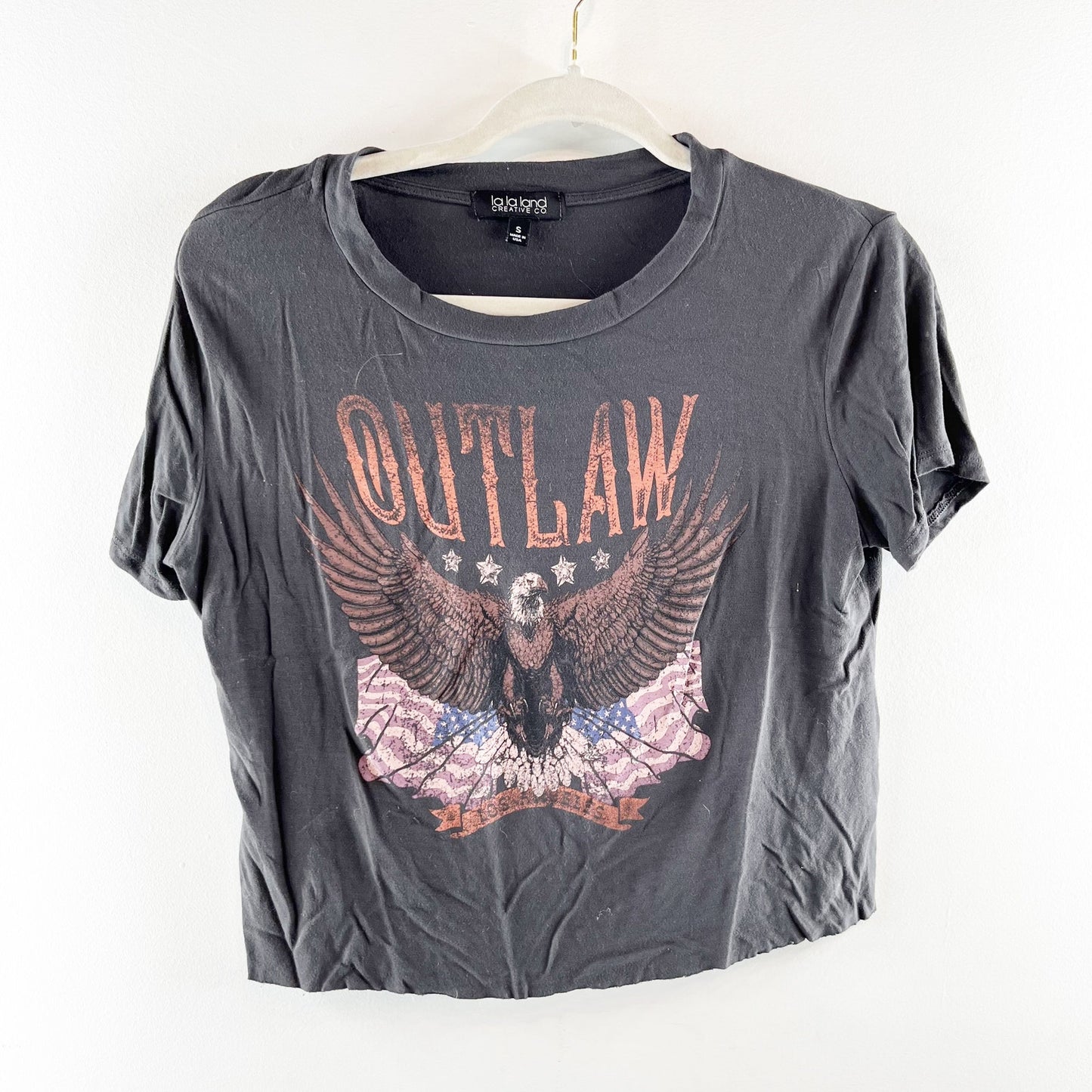 La La Land Outlaw Short Sleeve Graphic Cropped T-Shirt Gray Small