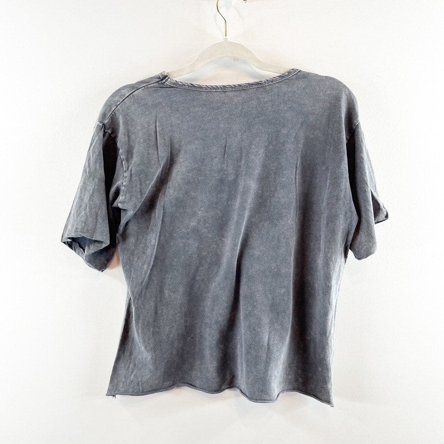Caution To The Wind Cotton Mineral Wash Tiger Graphic Cropped T-Shirt Gray Small