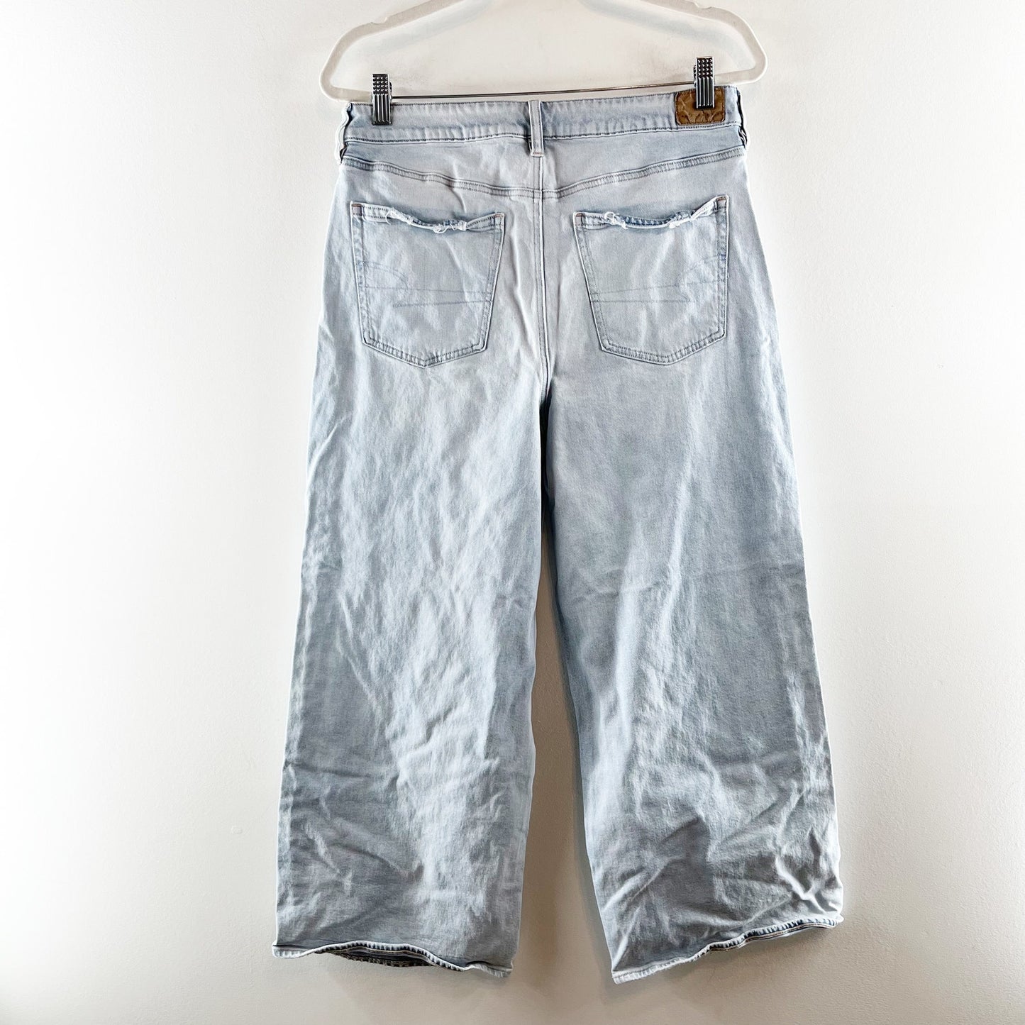 American Eagle Outfitters Strigid Super High-Rise Baggy Wide Leg Jeans 10