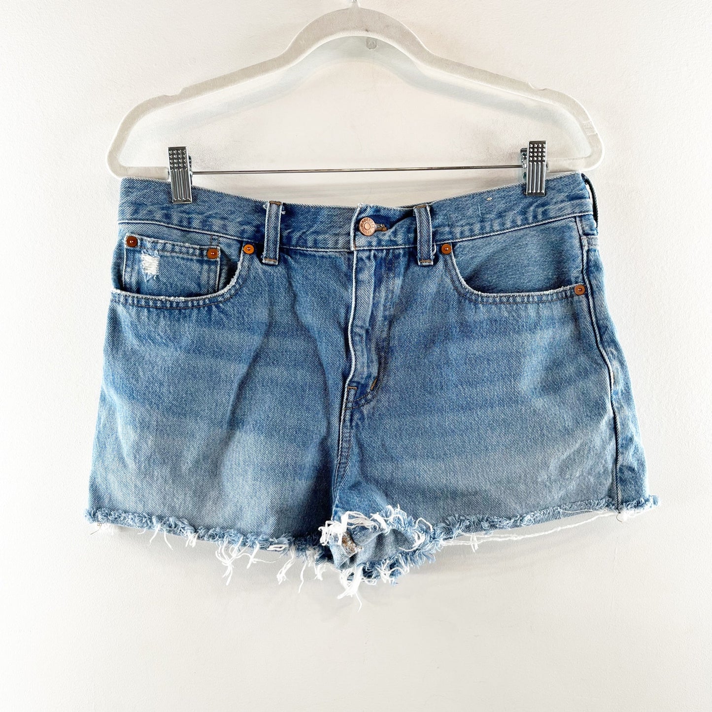 Madewell High Waisted Relaxed Raw Hem Denim Jean Shorts Kelton Wash 29