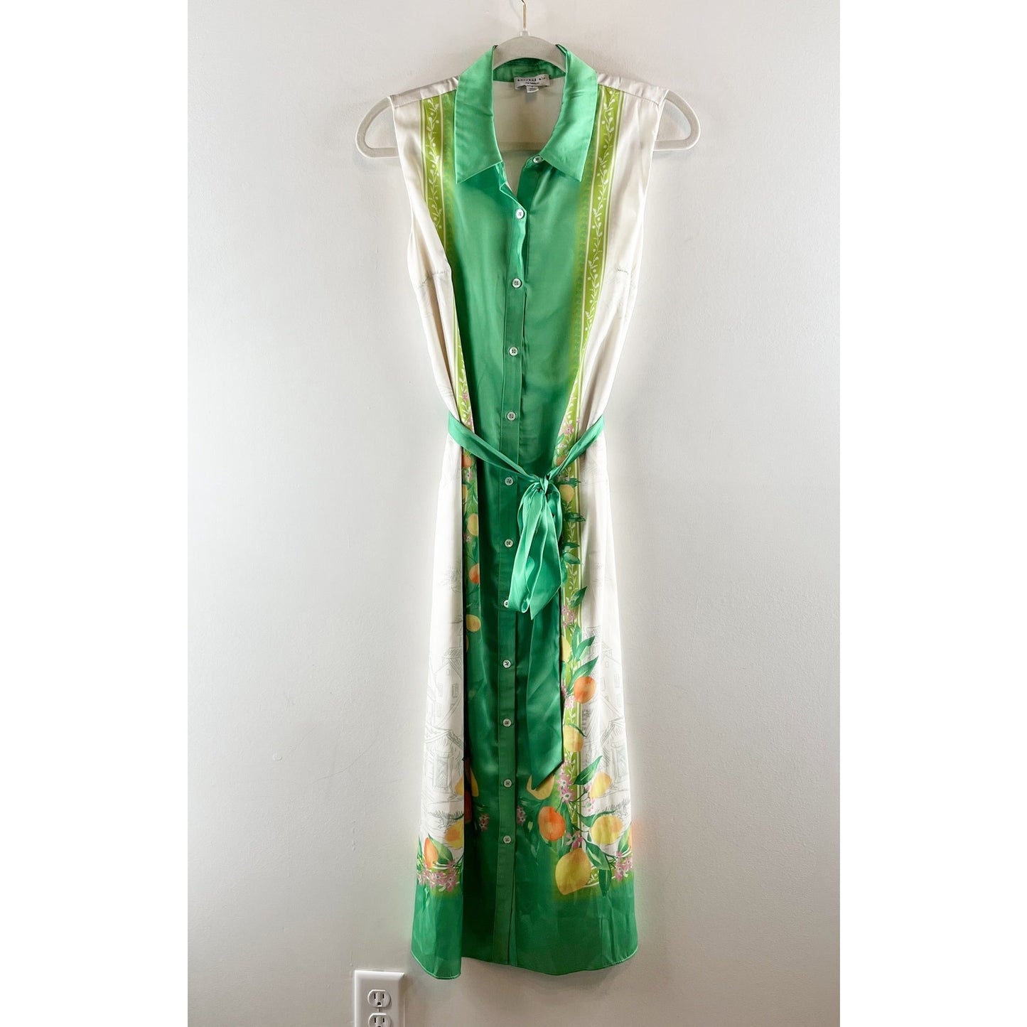 Current Air Anthropologie Sleeveless Button Up Shirt Dress Green White Small