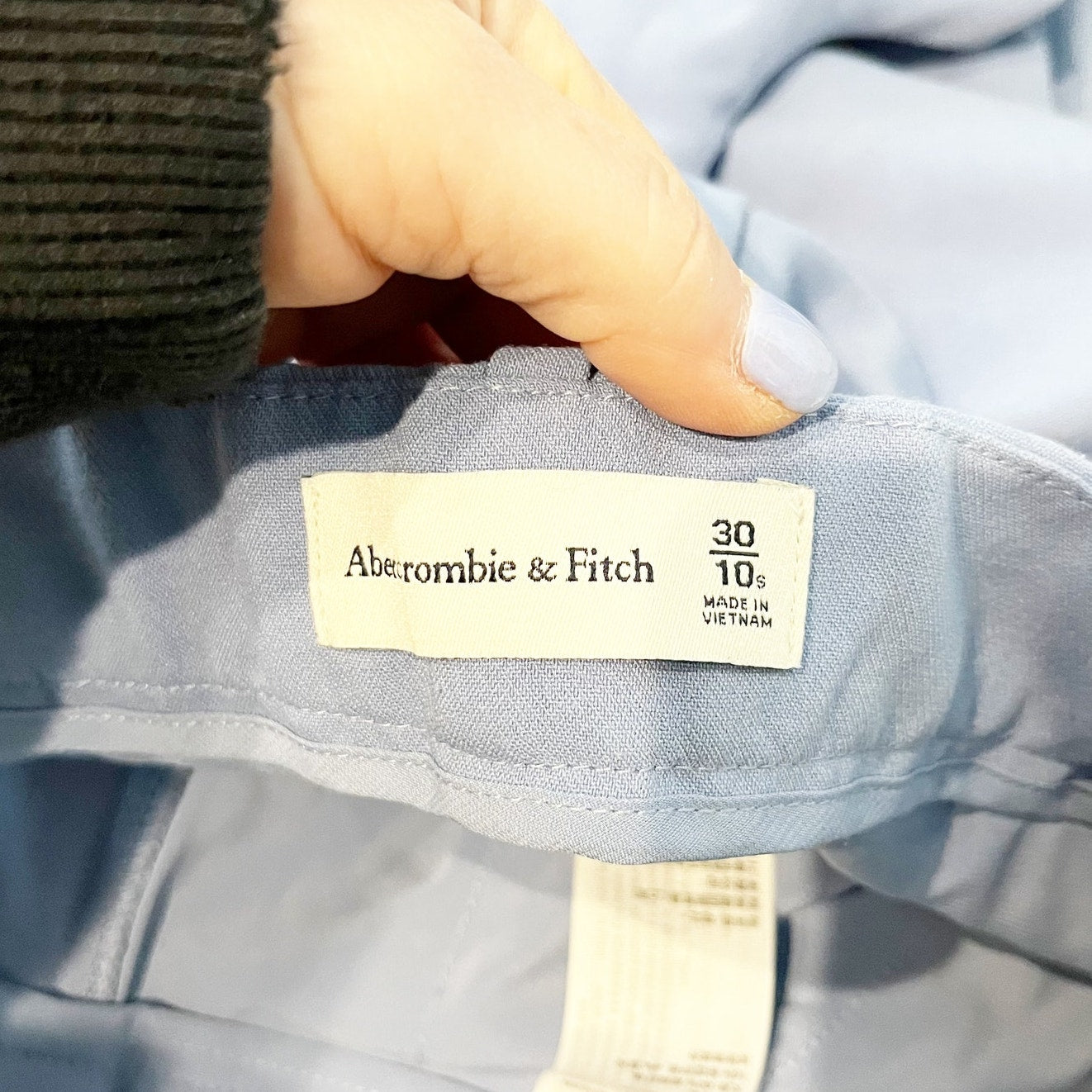 Abercrombie & Fitch Sloane High Rise Pleated Tailored Trouser Pants Blue 10 P