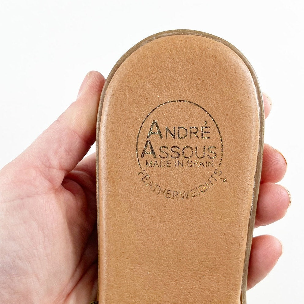 Andre Assous Nice Woven Thong Sandals Green Brown 11